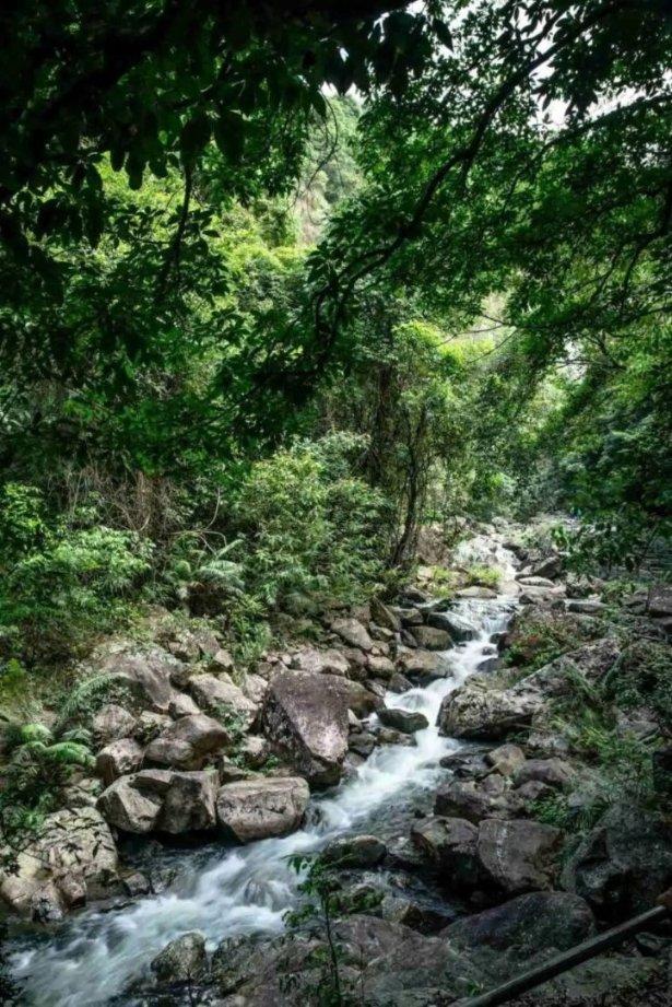 虫虫助手下载